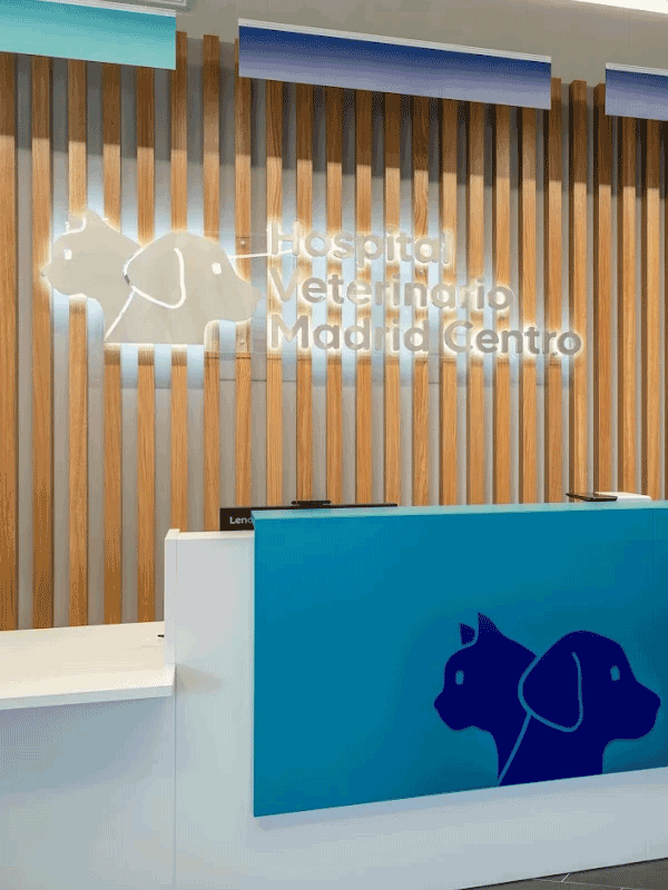 Reseña Cliente de Distrito, Hospital Veterinario Madrid